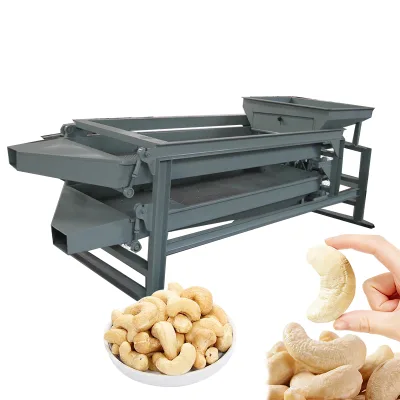 Cashew Nut Grading Machine with Drum Classifier and Adjustable Hopper for Kernels