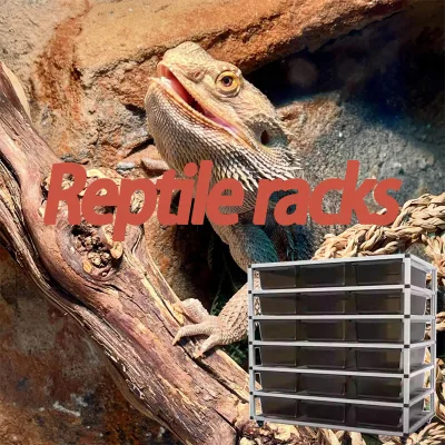 Aluminum Bracket PVC Laminate Unheated Reptile 6-layer Breeding Rack with Bathtub Snake Gecko Lizard Farm Customizable Splice