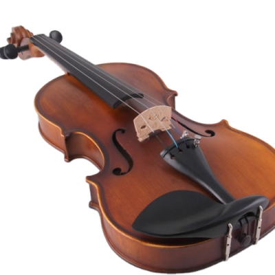 Student Violin Beginning Level Violin
