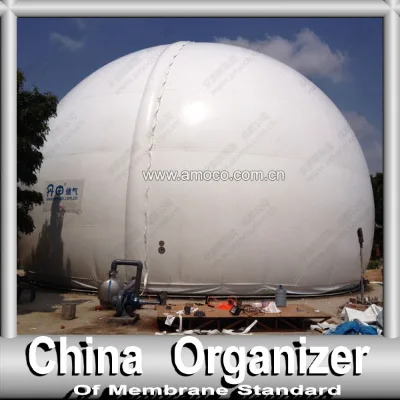 Domestic Methane Gas Storage Tank -- Auto Control System, Volume for Customizing