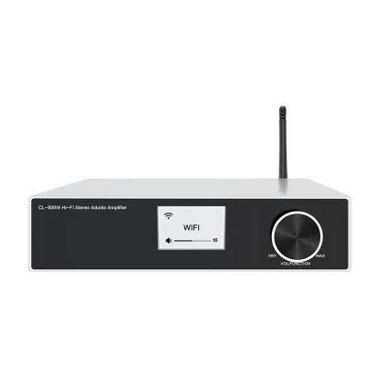 Factory Price CL-500W Hifi Wifi 2.4G 5G BT 5.0 2X100W Home Amplifier with Optical USB Professional Use