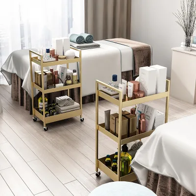Special Trolley Storage Rack for Beauty Salon Tool Cart Nail and Eyelash Storage Rack