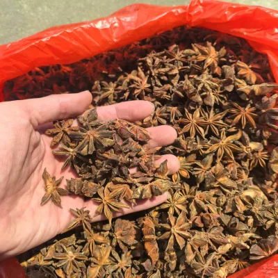 Factory Direct Guangxi Star Anise Whole Dried Spices Premium Quality Natural Seasoning for Stew Braise and Marinade Wholesale