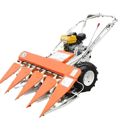 High Hand Push Agricultural Equipment Corn Peanut Rice Straw Threshing Machine Shelling Sheller Core Motor 220V 1 Year