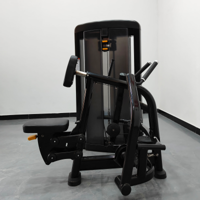 Row/Rear Delt Back Sports Machine Fitness & Body Building Equipment