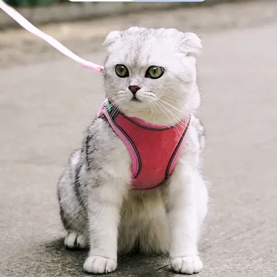 Cat Traction Vest Style Chest Strap Dog Rope Set Cat Small and Medium-sized Dog Traction Rope
