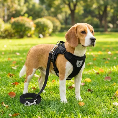 Custom Reflective Mesh Dog Harness with Quick Release Buckle Breathable Adjustable Safety Vest for Walking Wholesale