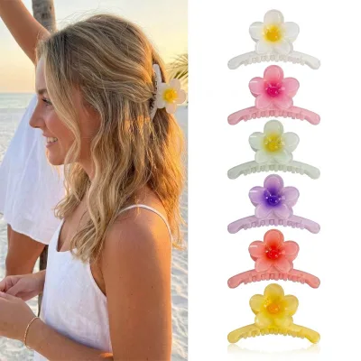 Wholesale Plumeria Flower Hair Claw Clips Gradient Jelly Hair Barrettes Fashion Beach Holiday Hair Clips for Girls