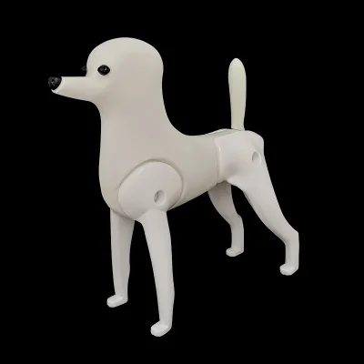 Mr.Jiang Grooming Model Dog Poodle Mannequin and Lamp Skeleton for Grooming Practice