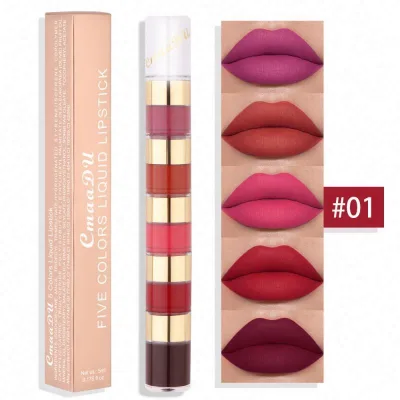 Wholesale CmaaDu 5 in 1 Gloss Kit Makeup Matte Lips Cosmetic Long Lasting Velvet Liquid Lipstick Waterproof Sexy Lip Tint