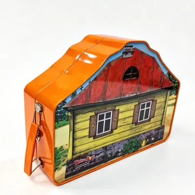 Custom Special House-Shaped Portable Tin Box Handle Latch Closure Irregular Metal Storage Kids Toy Packaging Dadi Weiye Tin