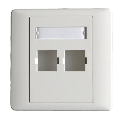 Dual Port Rj45 Face Plate