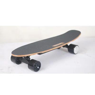Hot Sale Maple Fish Long Board Off Road Blank Electric Skateboard Trucks With Battery
