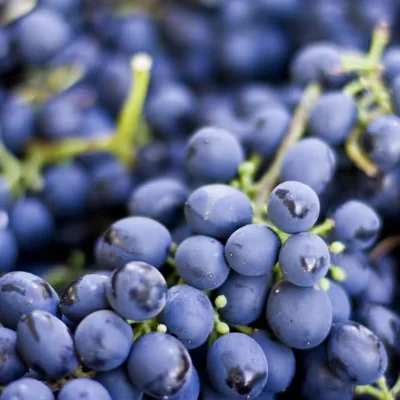 Good Farm Fresh Fruit Grape on Sale Sweet Red Grape Seeded Crimson Grape