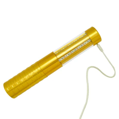 Second Generation NEW champagne Lights
