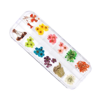 Christmas New Arrive Dry Flower for Nail Decoration