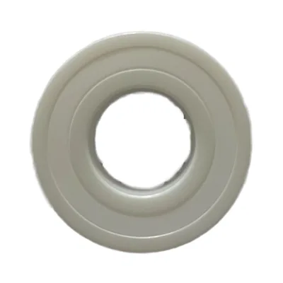 Premium Quality with Ceramic Bearing Corrosion Resistance Waterproof 6005CE 6006CE 6007CE Ceramic Bearing