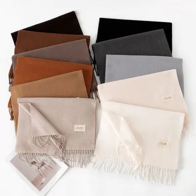High Quality 200*45cm Cashmere Premium Scarves Winter Warm Premium Scarves Luxury Scarf for Fashion Women