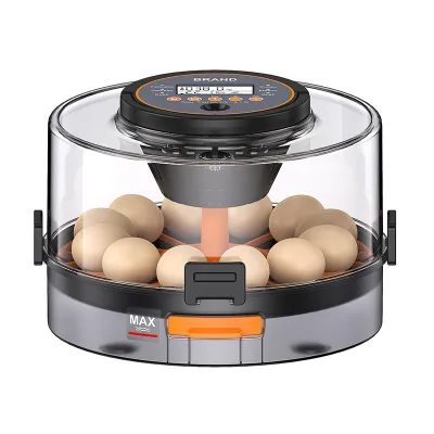 Yun Automatic Solid Pattern Egg Incubators Button Closure Farming Equipment for Chicken Duck Quail Full Eggs for Home Use