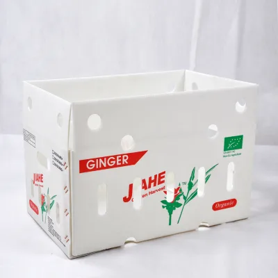 Recyclable PP Plastic Fruit Crate Produce Storage Box for Supermarket Fresh Fruit Display and Transport