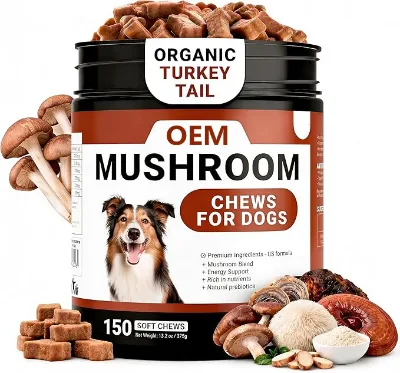OEM ODM High-Protein Grain-Free Mushroom Supplement for Dogs Soft Chews Ashwagandha Probiotic Blend-Immune Support Joint Health