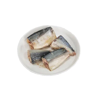 Jack Mackerel Jurel in Brine Water to Chile