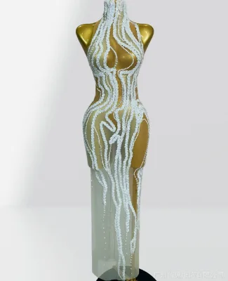 Sequined Pearls Embroidery Dress Women Sleeveless High Neck Maxi Dress Suitable for Cocktail Parties