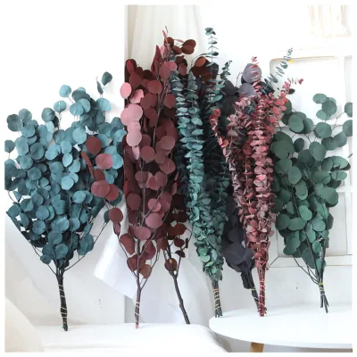 Wholesale Preserved Eucalyptus Silver Dollar Leaves 70cm Bundle for Halloween and Graduation Home Decoration