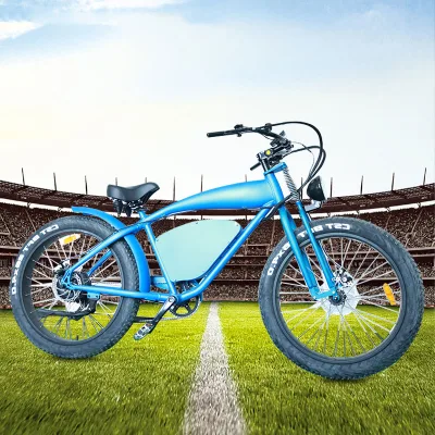 Low Price China Vintage Electric Bike Electric Fat Bike Lithium Battery Full Suspension Electric Bike