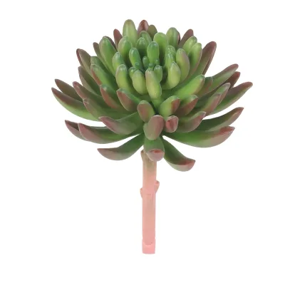 Artificial Plastic Succulent Plants Potted Cactus Aloe Vera Crassulaceae for Garden Wedding Home Decoration