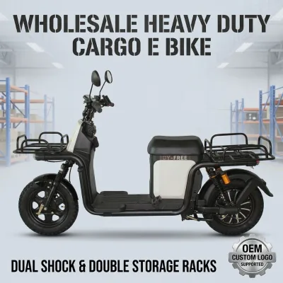 Factory Wholesale Double Cargo Rack Heavy Load EScooter 60V  Removable Lithium Battery Food Delivery E Bike for Russia Market