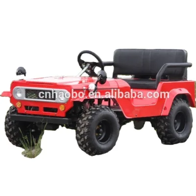 Mini Electric 2-Seater Buggy Off-Road Farm UTVs From China Sale of EEC/DOT Certified Electric Vehicles Golf Application