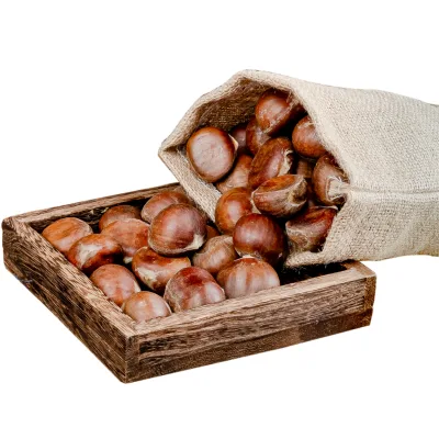 New Crop Organic Raw 80-150 Grains/kg Qinglong Fresh Chestnut for Roasting and Snacks