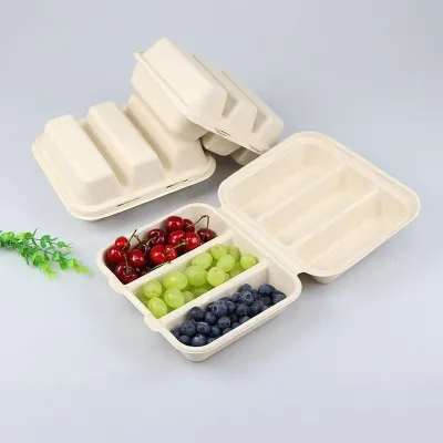 Hot Sale Customized Takeaway Biodegradable Sugarcane Bagasse Portable Folders Three Compartment Disposable Taco Food Box