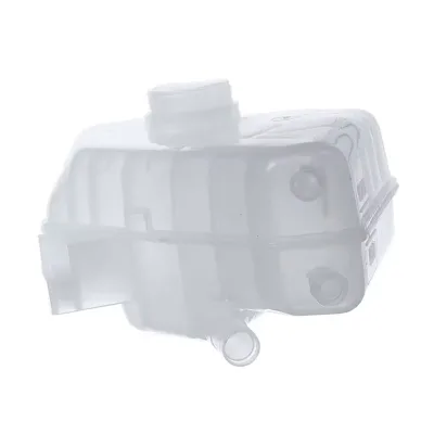 OEM 1513111 8V218K218AB Coolant Reservoir Expansion Tank for F ORD