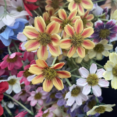 Wild Chrysanthemum Artificial Flower Chrysanthemum for Indoor Outdoor Home Garden Party Decor Floral Arrangement