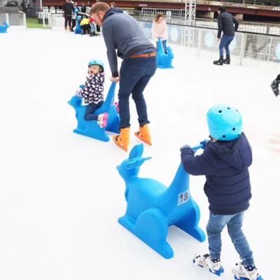 Environmental Protection Animals Ice Skates Aid for Kids Teenagers and Adults