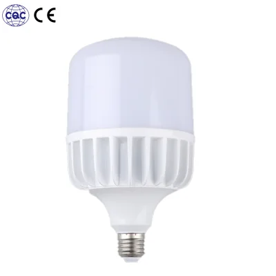 Interior Residential T Shape High Lumen LED Bulb 2-Year Warranty AC Powered E27 Base 1800 Lumens Energy Star Certified CRI 80