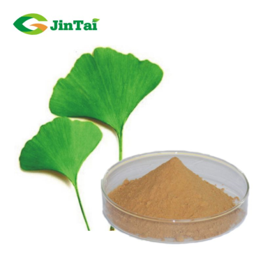 Ginkgo Biloba Leaf Extract Ginkgo Biloba Extract Powder Ginkgo Biloba Extract
