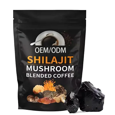 Premium Blended Powder Drink Lion's Mane Reishi Cordyceps Shilajit Mushroom Coffee for Energy Immune Support