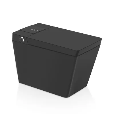Japanese Automatic Operation Matte Black Intelligent Smart Bidet Toilet Bowl