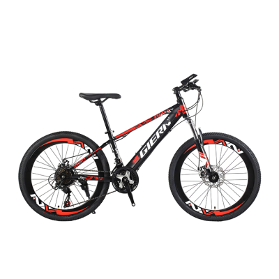20 Inch Mountain Bike Factory Direct FAST Delivery Bicycle Bike Teenagers Sports Bike OEM Service Bicicleta Cycle