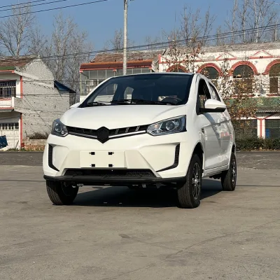 Direct Sale of New Energy Adult Passenger Car Low-Speed Electric Vehicle Model From China Cheap EV Cars Small New Electric Car