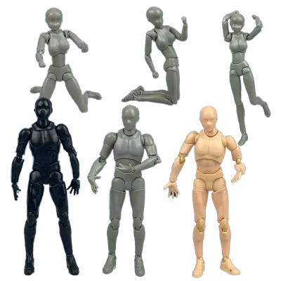Male and Female Body Model Toy Comics Painting Tools Toy Figure Cartoon Action Figure