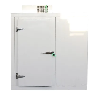 Commercial Deep Freezer Air Blast Chiller Machine with Copeland Compressor Container Design Engine & Motor Gear