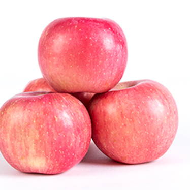 2024 Fresh Apples Manzana fresca apple Fruit Fresh Chinese Fuji apple