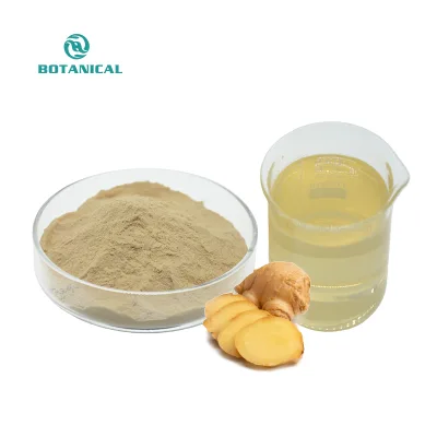 Premium Water Soluble Ginger Powder Ginger Root Extract for Healthy Drinks & Supplements OEM Private Label HPLC Tested