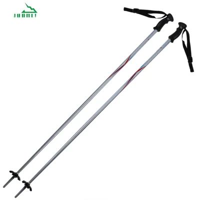 Customized Wholesale Lightweight Nordic Walking Trekking Ski Pole Hot Sale Cross Country Alpine Ski Pole Outdoor Ski Sticks