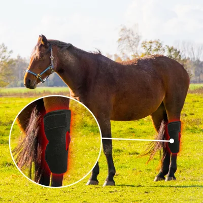 Rechargeable Equine Red Light Therapy Hock Knee Wrap 660nm 850nm LED Horse Therapy Device Manufacturer