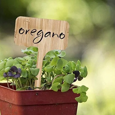 Wholesale No Plastic Custom Garden Plant Growing Recording Bamboo Plant Labels Tags for Outdoor and Indoor